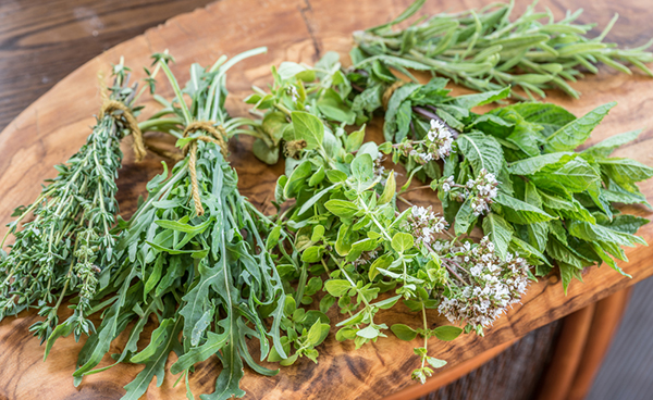 The Essential Guide to Culinary Herbs